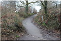 Path towards Pen-y-fan Pond Country Park