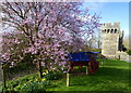 The grounds of Cooling Castle Barns, Cooling Road