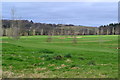 View across East Horton Golf Course from Durley Road