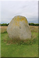 Erratic boulder at Langley Park