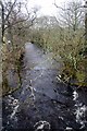 Gryfe Water from Pacemuir Bridge