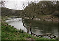 SO5300 : Upstream along the Wye, Tintern by Jaggery