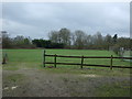 Grazing near Kitwells Farm