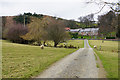 Farm track towards Trem y Derw