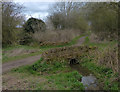 Brampton Valley Way crossing a small stream