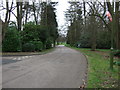 Pegrum Drive, Napsbury Park