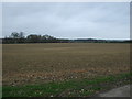 Farmland, Childwick Green