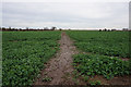 Path leading to Stallingborough