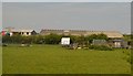 Barn, Hewish Farm