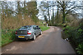 Mid Devon : Country Lane