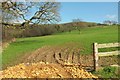 Field by Chaffins Coppice