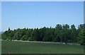 Crop field towards the A913