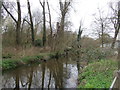 The River Lea, Batford