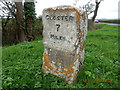 Old Milestone by the B4211, Corse