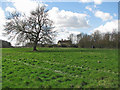 TL2645 : Near Bury Holme Farm by John Sutton