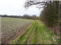 Bridleway looking east, Offley