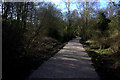 Path southbound after Clifton Road bridge