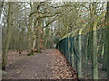 TQ4271 : Path at edge of Elmstead Wood by Robin Webster