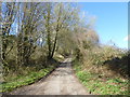 Looking up Holbeam Road