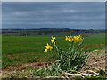 Countryside view north of Lamport