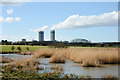 Pool at Saltholme RSPB reserve