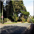 Down Chard Road, Axminster