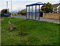 Unusually placed bench in Nottage, Porthcawl