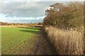 SE3663 : Path approaching Carr Top Farm by Derek Harper
