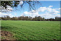 Farmland by Ham Lane