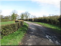 Well trimmed field hedges on the Carrowmannan Road