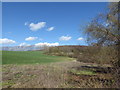 View from Faversham Road