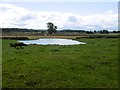 Pond, Applegarthtown