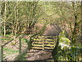 Gate on Holmfirth FP58/4, Upperthong