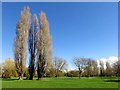 Abbey Meadows in Abingdon