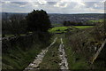 Track heading West from Warmleigh Farm