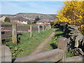 Footpath - Calmlands Road