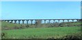 Craigmore Viaduct from the Millvale Road