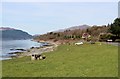 Seafront at Cove Bay