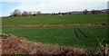 Towards Whitehall Farm near Rockfield