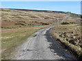 Track from Whitfield Brow to the Bollihope road