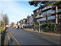 Houses and flats on Hillaries Road, Gravelly Hill