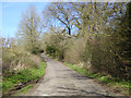 Lane towards Smallthorns Farm