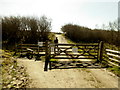 Gate and stile, Cuilcagh Legnabrocky Trail