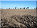 Shadows on a ploughed field, near Podmore Cottages