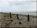 SE9825 : The Humber foreshore at North Ferriby by Graham Hogg