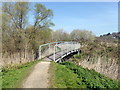 TQ4209 : Footbridge at Lewes Railway Land Local Nature Reserve by PAUL FARMER