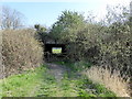TQ4209 : Underpass at Lewes Railway Land Local Nature Reserve by PAUL FARMER