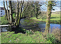 Afon Nyfer below Pontgynon