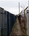 Narrow public footpath between fences, Ross-on-Wye
