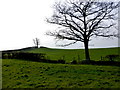 Killybrack Townland